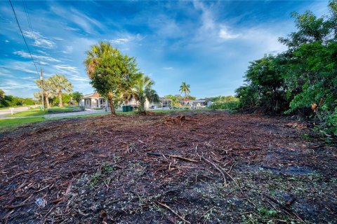Terreno en venta en Port Charlotte, Florida № 1902293 - foto 15