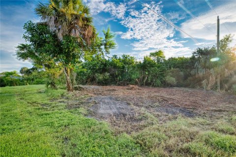 Terreno en venta en Port Charlotte, Florida № 1902293 - foto 18