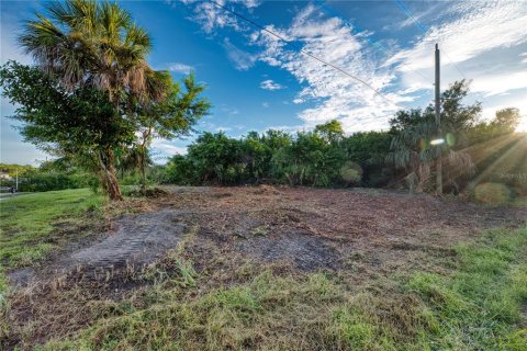 Terreno en venta en Port Charlotte, Florida № 1902293 - foto 13