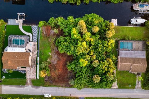 Terreno en venta en Port Charlotte, Florida № 1902293 - foto 2