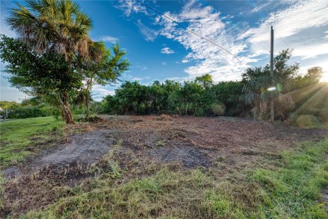 Terreno en venta en Port Charlotte, Florida № 1902293 - foto 12