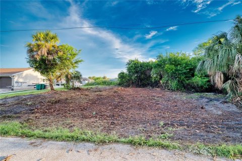 Terreno en venta en Port Charlotte, Florida № 1902293 - foto 17