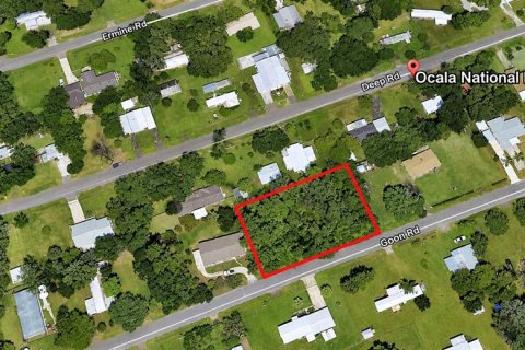 Land in Astor, Florida № 2396403 - photo 3