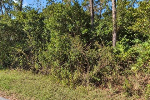 Land in Astor, Florida № 2396403