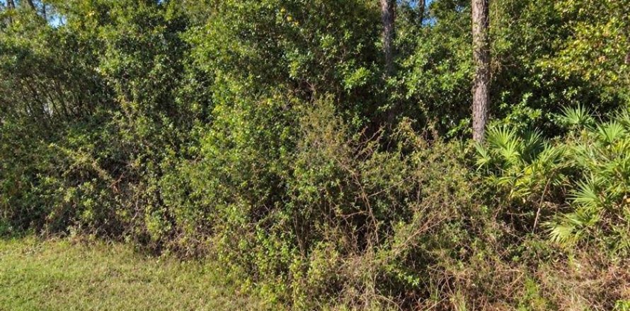 Land in Astor, Florida № 2396403
