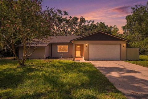 House in Brooksville, Florida 3 bedrooms, 140.56 sq.m. № 2258732