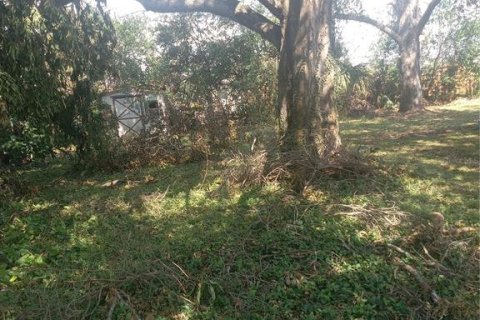Land in Lakeland, Florida № 1746717 - photo 2
