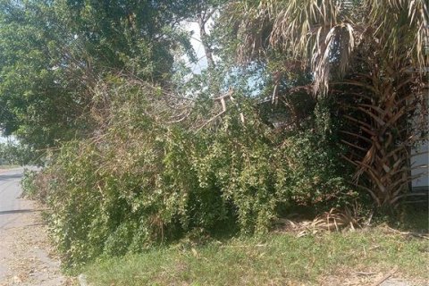 Land in Lakeland, Florida № 1746717 - photo 1
