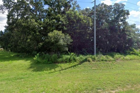 Terreno en venta en Ocala, Florida № 215704 - foto 2