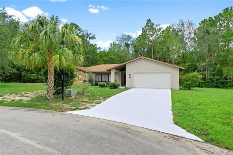 House in Homosassa, Florida 4 bedrooms, 215.9 sq.m. № 1906574 - photo 1