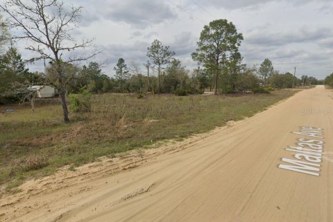 Terrain à vendre à Interlachen, Floride № 2223874 - photo 5