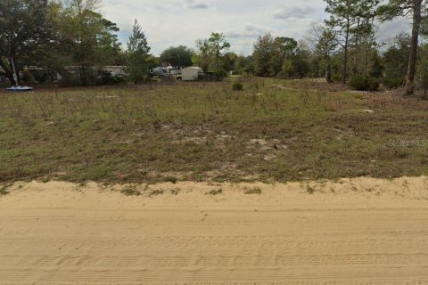 Terrain à vendre à Interlachen, Floride № 2223874 - photo 3