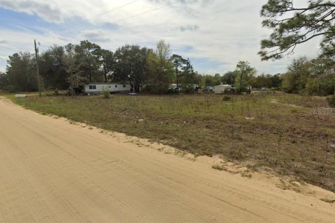 Terrain à vendre à Interlachen, Floride № 2223874 - photo 4