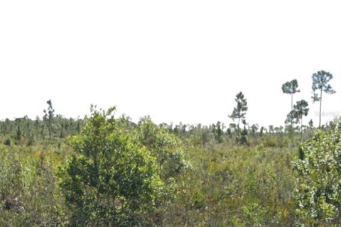 Land in Indian lake estates, Florida № 2161051