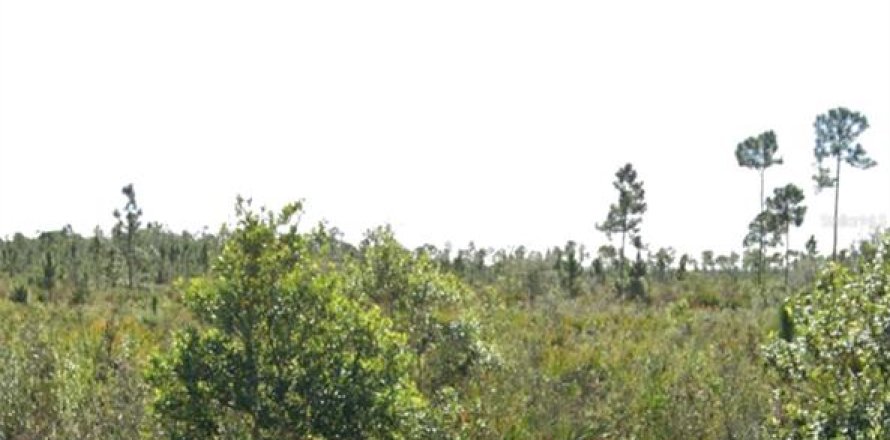Land in Indian lake estates, Florida № 2161051