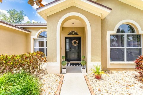 Villa ou maison à vendre à Valrico, Floride: 4 chambres, 208.66 m2 № 1773273 - photo 4