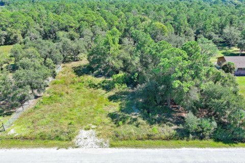 Terrain à vendre à Clewiston, Floride № 1963661 - photo 14