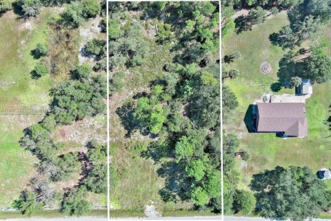 Terrain à vendre à Clewiston, Floride № 1963661 - photo 5