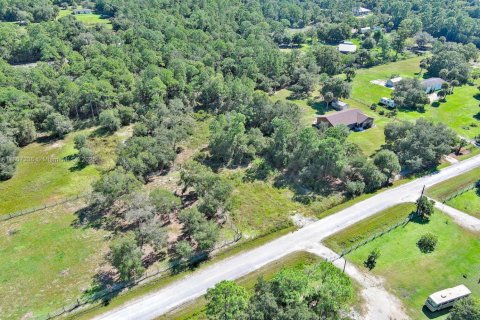 Terrain à vendre à Clewiston, Floride № 1963661 - photo 11