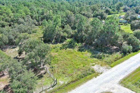Terrain à vendre à Clewiston, Floride № 1963661 - photo 13
