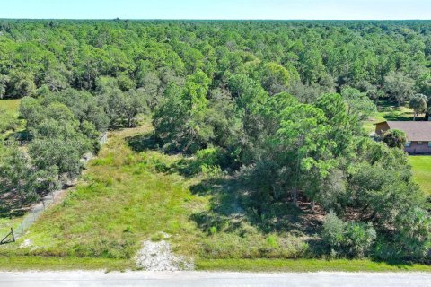 Terrain à vendre à Clewiston, Floride № 1963661 - photo 15