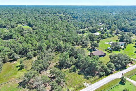 Terrain à vendre à Clewiston, Floride № 1963661 - photo 10