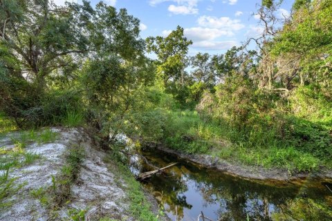 Commercial property in Tampa, Florida 141.21 sq.m. № 2318598 - photo 24