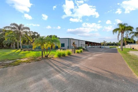 Commercial property in Tampa, Florida 141.21 sq.m. № 2318598 - photo 5