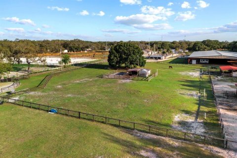 Commercial property in Tampa, Florida 141.21 sq.m. № 2318598 - photo 18