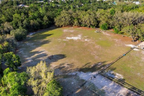 Commercial property in Tampa, Florida 141.21 sq.m. № 2318598 - photo 13