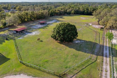 Commercial property in Tampa, Florida 141.21 sq.m. № 2318598 - photo 11