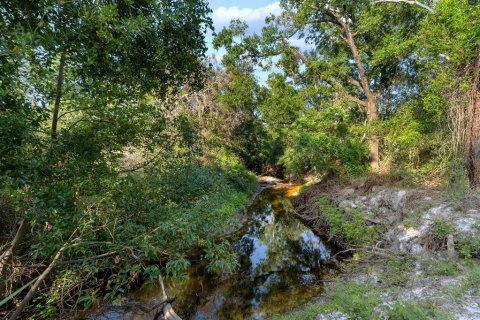 Commercial property in Tampa, Florida 141.21 sq.m. № 2318598 - photo 23