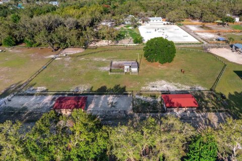 Commercial property in Tampa, Florida 141.21 sq.m. № 2318598 - photo 12