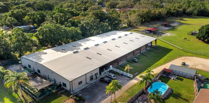 Commercial property in Tampa, Florida 141.21 sq.m. № 2318598