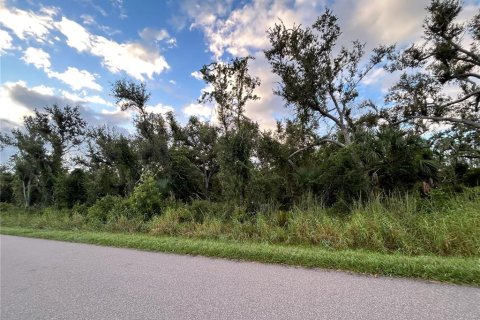 Land in Punta Gorda, Florida № 2160333 - photo 6