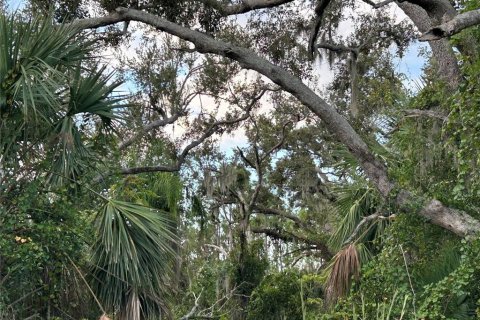Land in Punta Gorda, Florida № 2160333 - photo 4