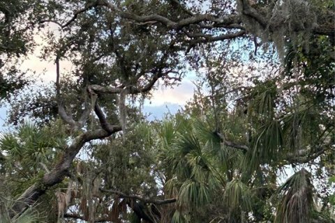 Land in Punta Gorda, Florida № 2160333 - photo 3