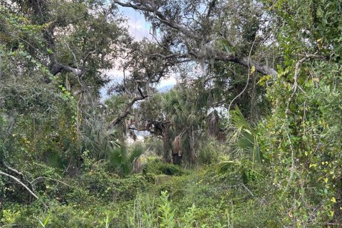 Land in Punta Gorda, Florida № 2160333 - photo 5