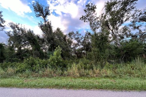 Land in Punta Gorda, Florida № 2160333 - photo 7