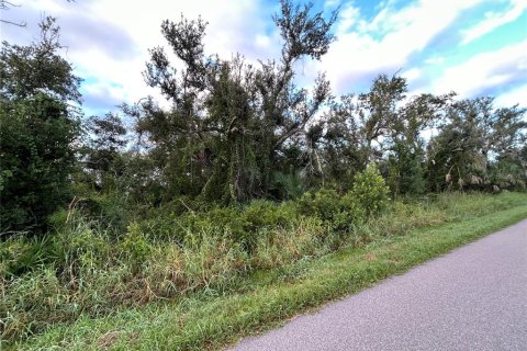 Land in Punta Gorda, Florida № 2160333
