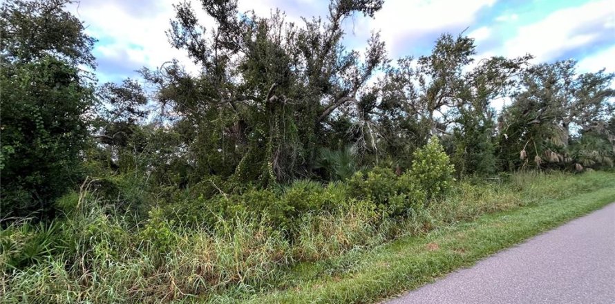 Land in Punta Gorda, Florida № 2160333