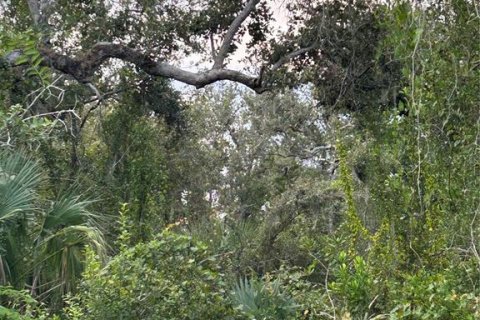 Land in Punta Gorda, Florida № 2160333 - photo 2