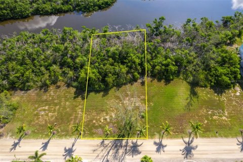 Terreno en venta en Placida, Florida № 1839925 - foto 9