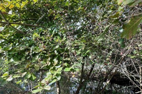 Купить виллу или дом в Форт-Лодердейл, Флорида 5 спален, 290.23м2, № 1969543 - фото 24