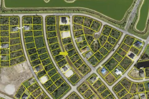 Land in Port Charlotte, Florida № 2227529 - photo 6