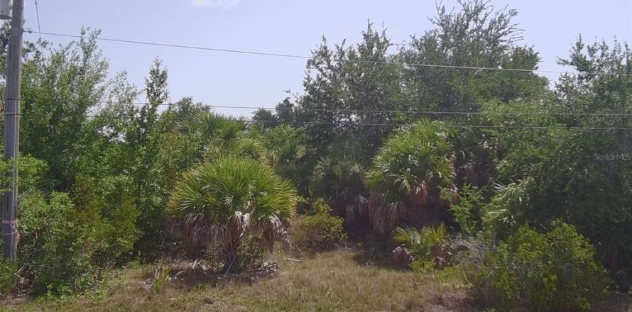Land in Port Charlotte, Florida № 2227529