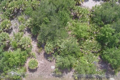 Land in Port Charlotte, Florida № 2227529 - photo 5