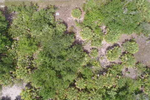 Land in Port Charlotte, Florida № 2227529 - photo 2