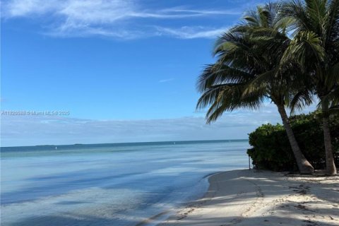 Apartamento en alquiler en Islamorada, Village of Islands, Florida, 2 dormitorios, 250.84 m2 № 1937599 - foto 4