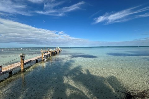 Apartamento en alquiler en Islamorada, Village of Islands, Florida, 2 dormitorios, 250.84 m2 № 1937599 - foto 5